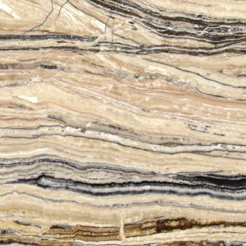 Close-up of Karyamar’s Jurassic Traonyx natural stone, showcasing fossil-inspired patterns and translucent properties, perfect for luxury interiors and architectural designs