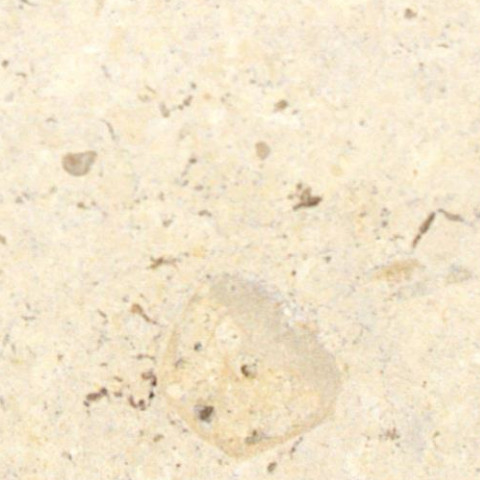 Close-up of Karyamar’s Travertine Seashell natural stone with soft beige hues and delicate patterns, perfect for luxury interiors and architectural designs